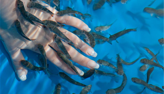 只需短短几十分钟，便可使你的皮肤回复细腻光滑